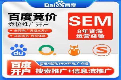 专业SEM服务托管方案案例分析